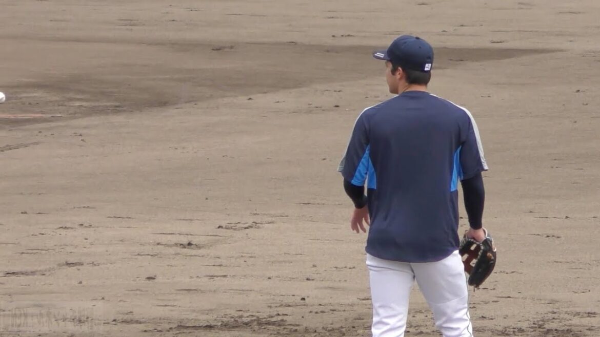 ブランドン　左投げにしてみた　石川高校　東京農業大学北海道オホーツク　埼玉西武ライオンズ