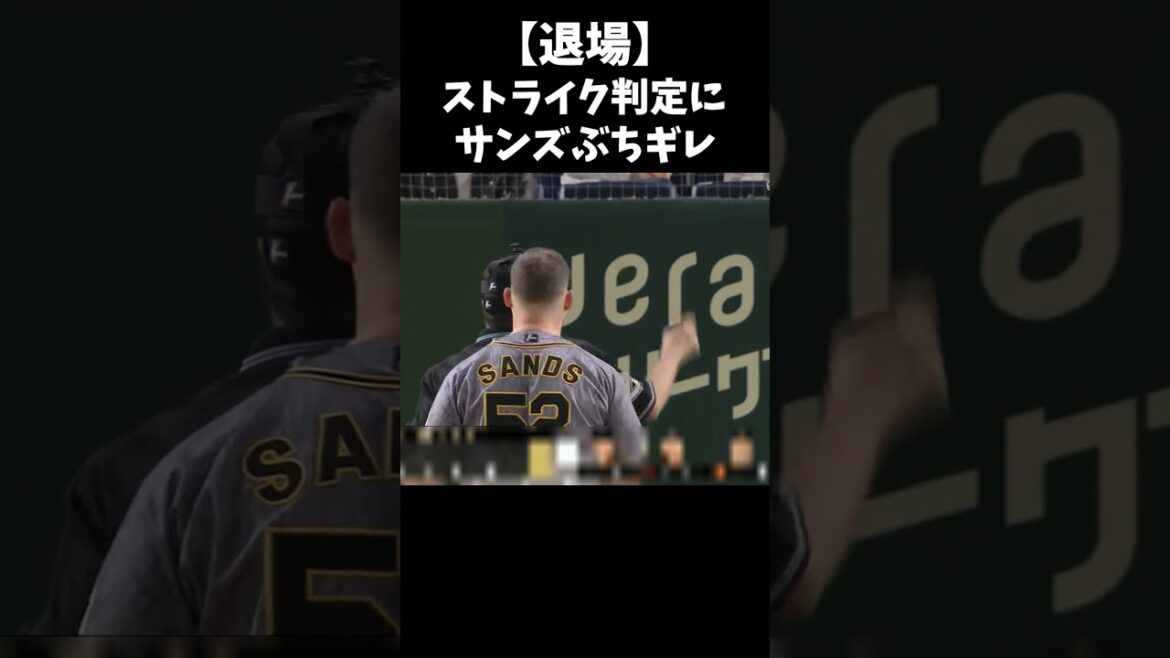球審の判定に不満爆発ブチギレのサンズ #shorts