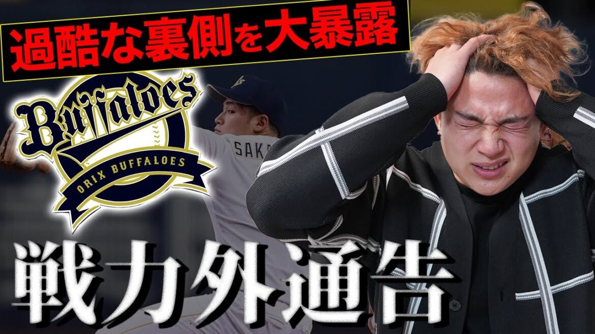 【厳しい現実】まだ誰も知らない戦力外通告の裏側を暴露【プロ野球】
