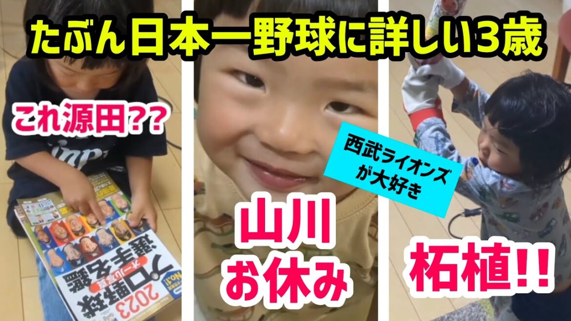 たぶん日本一野球に詳しい3歳〈西武ライオンズ大好き〉