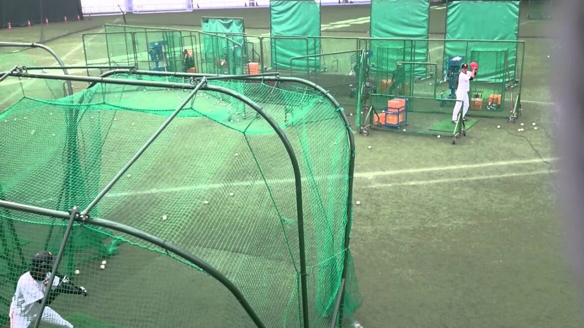 2015 宮崎キャンプ 巨人 内海哲也 対 山口の打球が内海を襲う