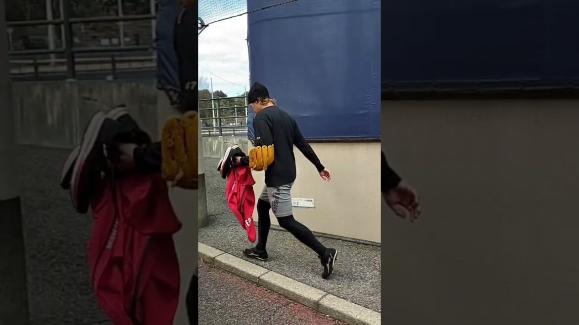 【FIGHTERS】 #鈴木健矢 投手 #自主トレ #shorts #北海道日本ハムファイターズ #fighters