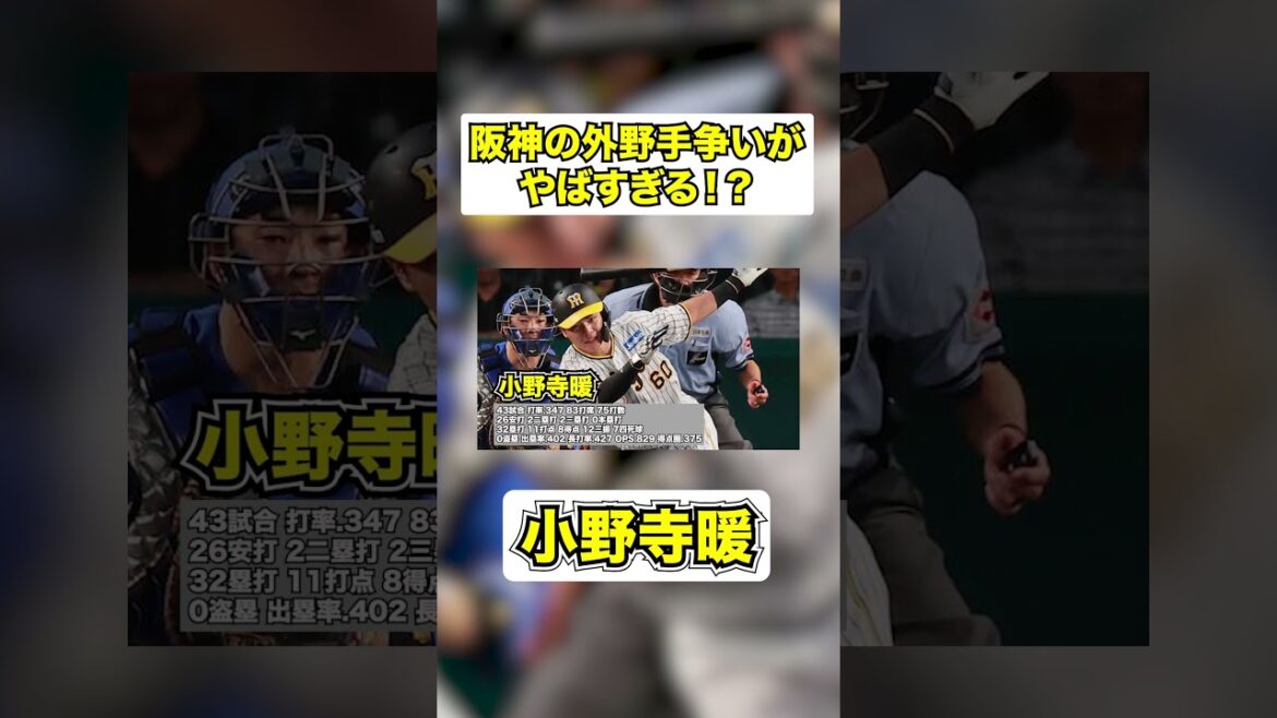 阪神の外野手争いがやばすぎる！？【小野寺暖編】＃shorts＃阪神タイガース＃争い#小野寺暖