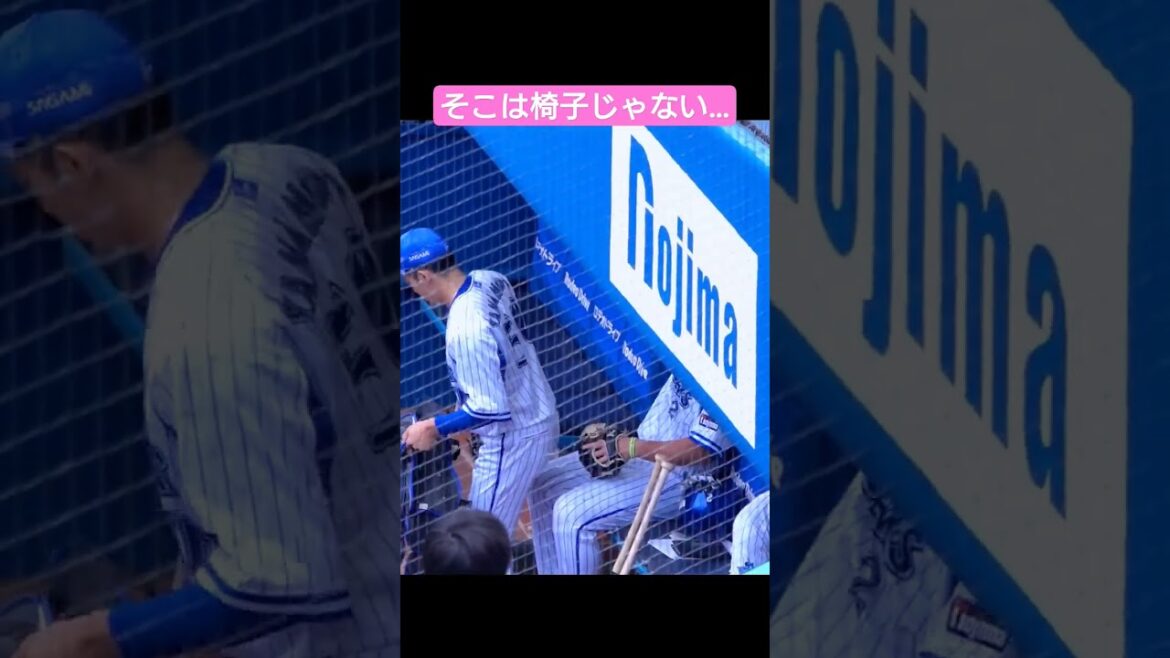 山本祐大と牧秀悟の仲良し同級生コンビ #横浜denaベイスターズ