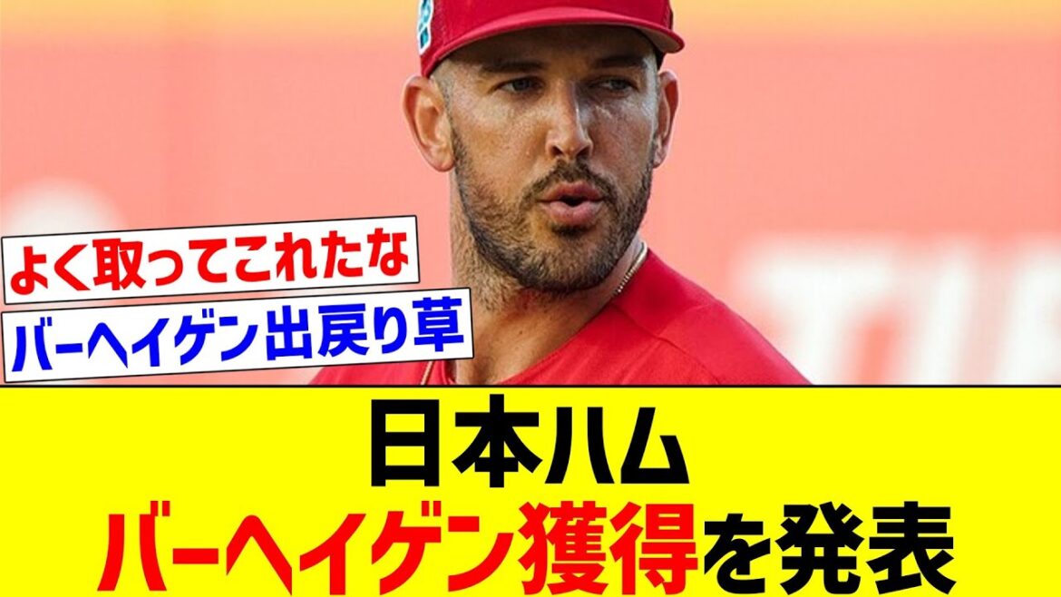 【補強凄すぎる】日本ハム、バーヘイゲン獲得を発表【なんJ反応】【プロ野球反応集】【2chスレ】【5chスレ】