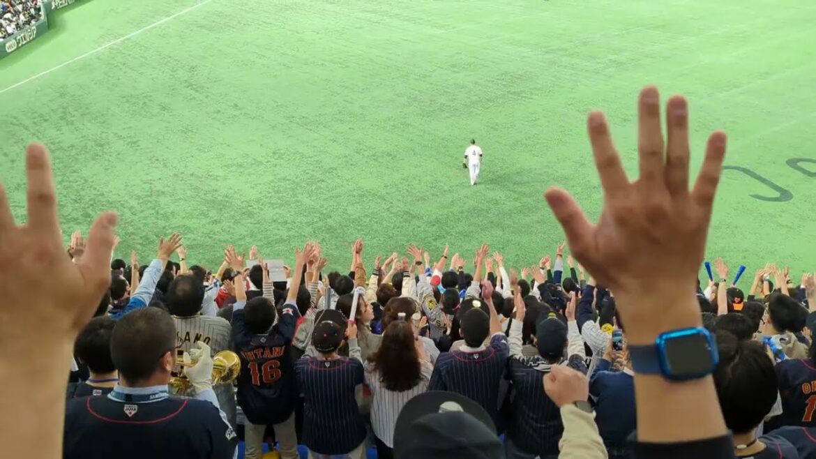 12球団ファンによるロッテ藤原恭大応援歌 アジアチャンピオンシップ 日本-豪州 2023/11.18