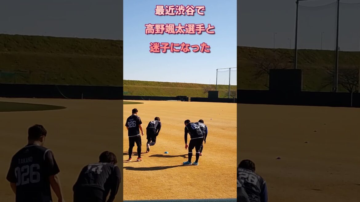 合同自主トレを観ながら選手紹介　2024新人合同自主トレ　戸田球場　 #西舘昂汰　＃松本健吾　＃石原勇輝　＃鈴木叶　#伊藤琉偉　#髙野颯太