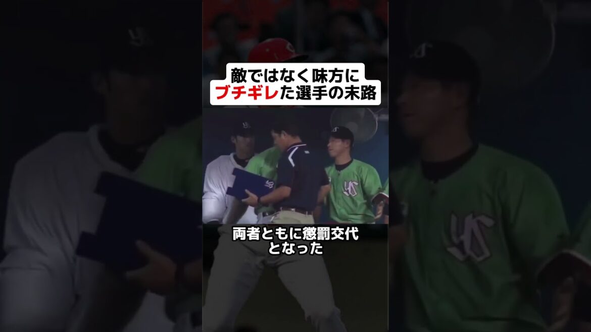 【仲間割れ？】敵ではなく味方にブチギレた選手の末路 #野球 #野球ネタ #プロ野球 #バレンティン #乱闘 #ロペス #前田智徳 #ヤクルト #広島