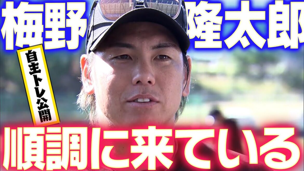 【自主トレ公開】梅野隆太郎選手が自主トレを公開！ケガの具合も順調！阪神タイガース密着！応援番組「虎バン」ABCテレビ公式チャンネル