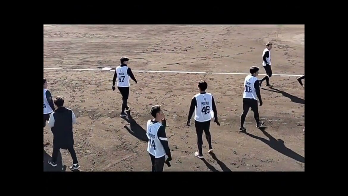 【GIANTS】2024/1/14 巨人新人合同自主トレの見学とサイン会 #直江大輔 #田村朋輝 #中田歩夢 #小沼健太 #giants #巨人 #読売ジャイアンツ