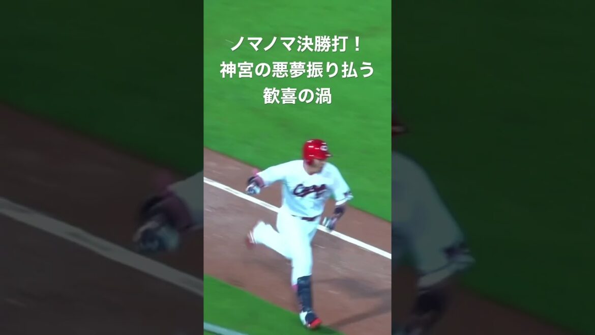 #shorts #carp #野間峻祥