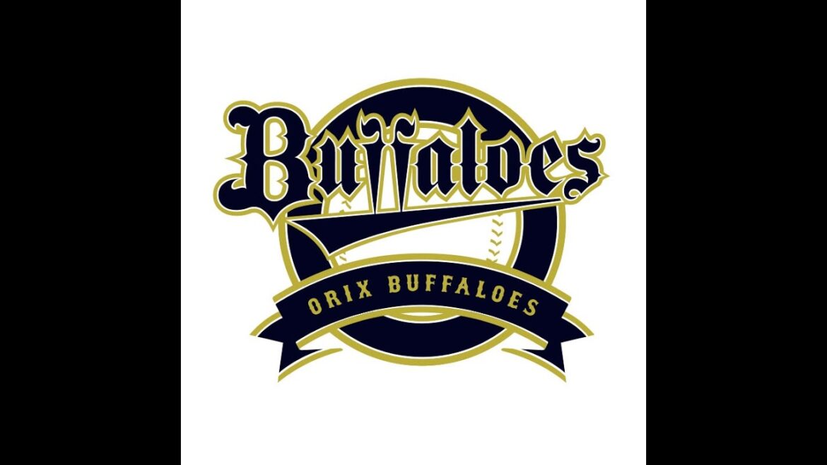 新入団選手オンライントークショー！