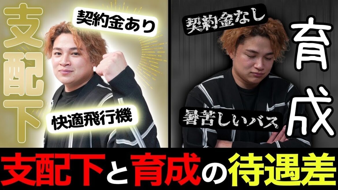 【過酷すぎる】育成選手と支配下選手の違い