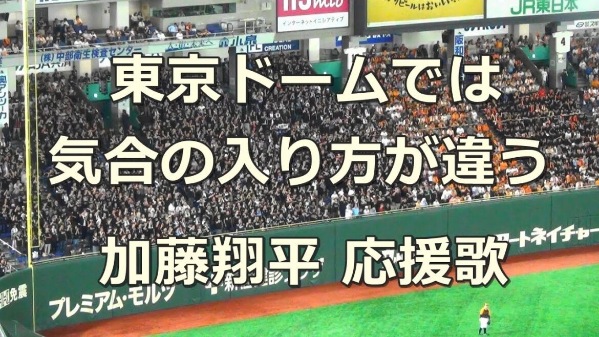 千葉ロッテマリーンズ 加藤翔平 応援歌 in 東京ドーム