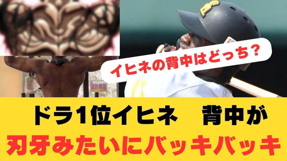 【イヒネ】肉体改造で背中が、刃牙みたいにバッキバッキに