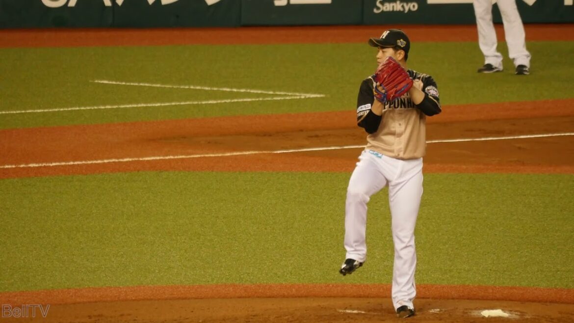 北海道日本ハムファイターズ 堀瑞輝  投球フォーム（スローモーション）