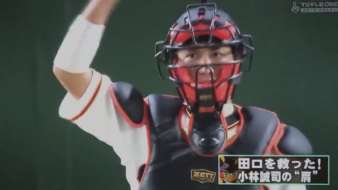 小林誠司 スローイング&キャッチング集 2017【ゴールデングラブ賞】 小林誠司 スローイング&キャッチング集 2017【ゴールデングラブ賞】