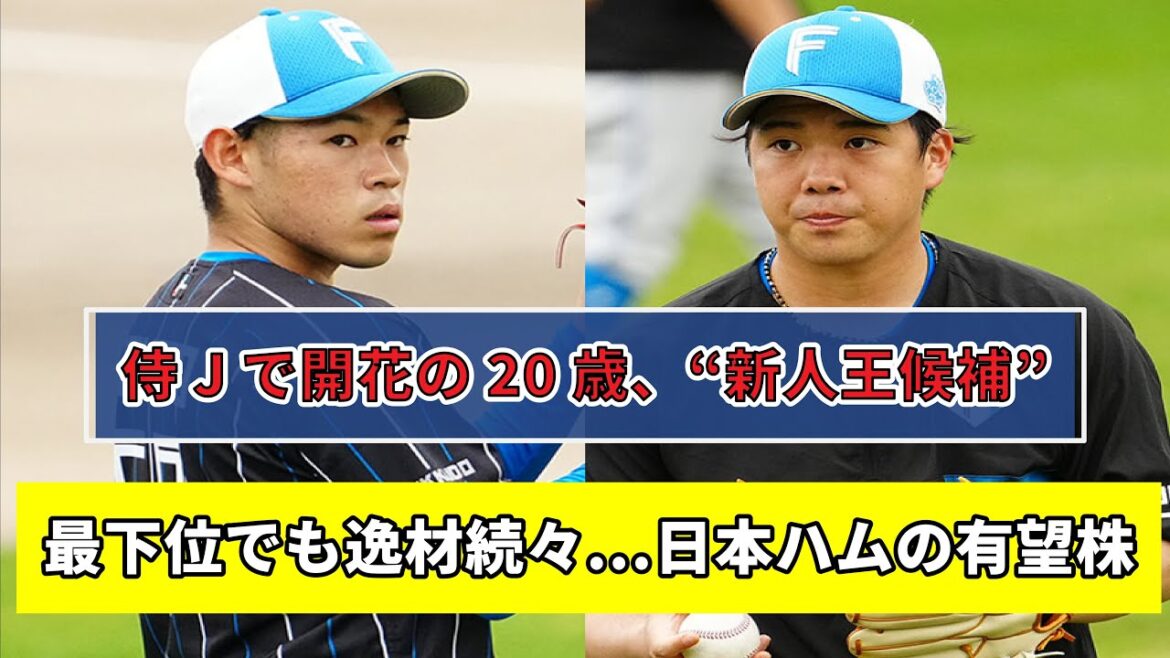 【金村・根本・田宮】最下位でも有望株続々、ハムの若手たち