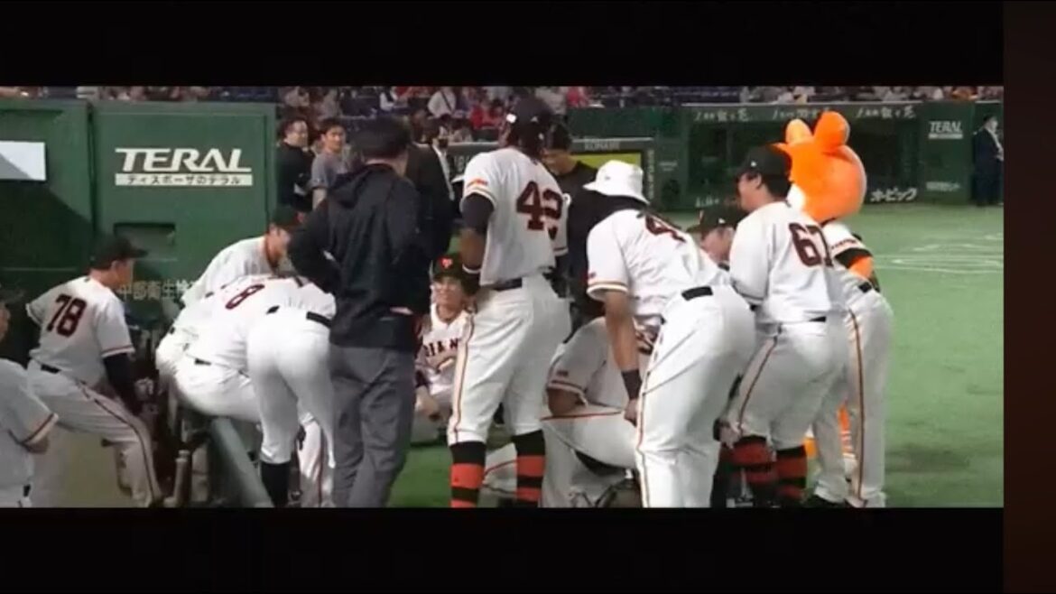 巨人　2024 「新風」　pv (坂本勇人　丸佳浩　菅野智之　大勢　岡本和真　大城卓三...)