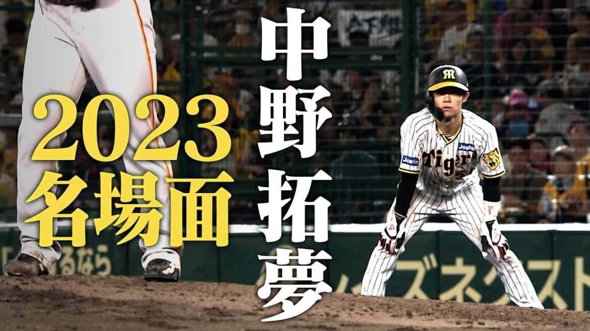【祝！結婚 中野拓夢】日本一！いや世界一のセカンドだ！打って良し守って良しの中野拓夢！2023年の活躍ぶりをまとめました！阪神タイガース密着！応援番組「虎バン」ABCテレビ公式チャンネル