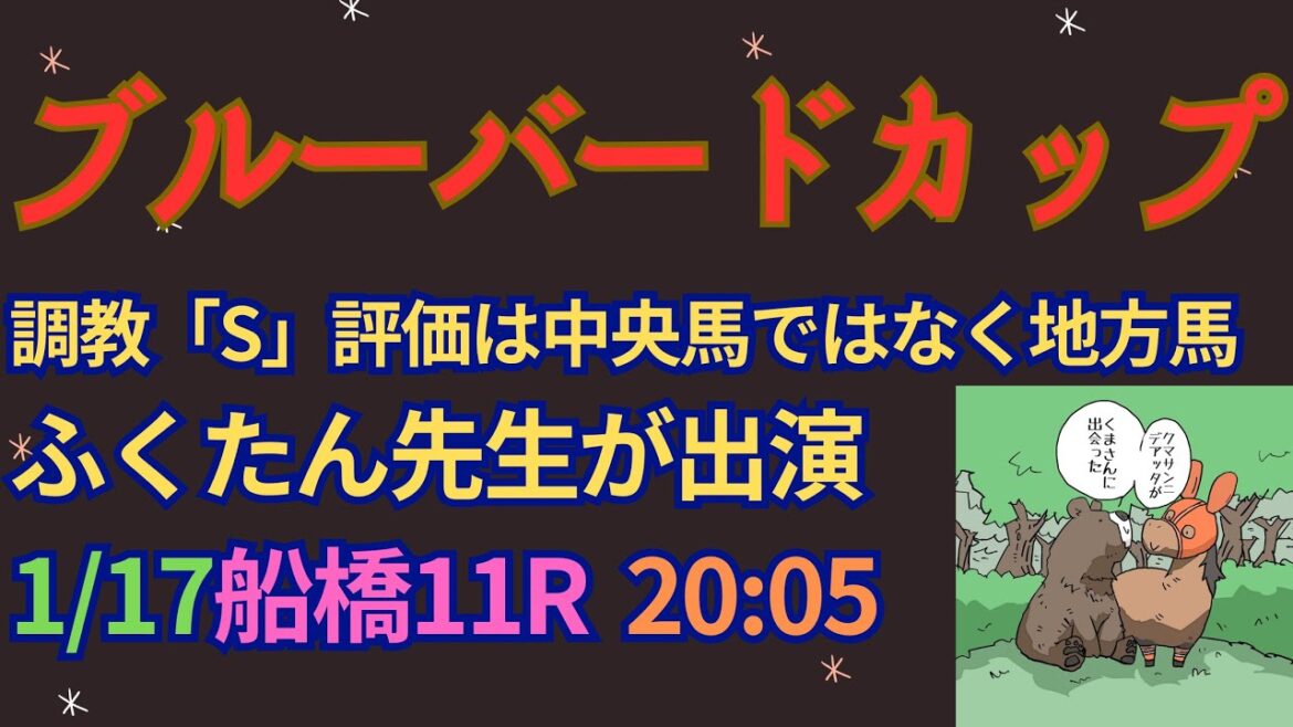 ブルーバードカップ2024予想【船橋競馬】追い切り「S」評価の馬は地方馬？AI予想＋全頭診断