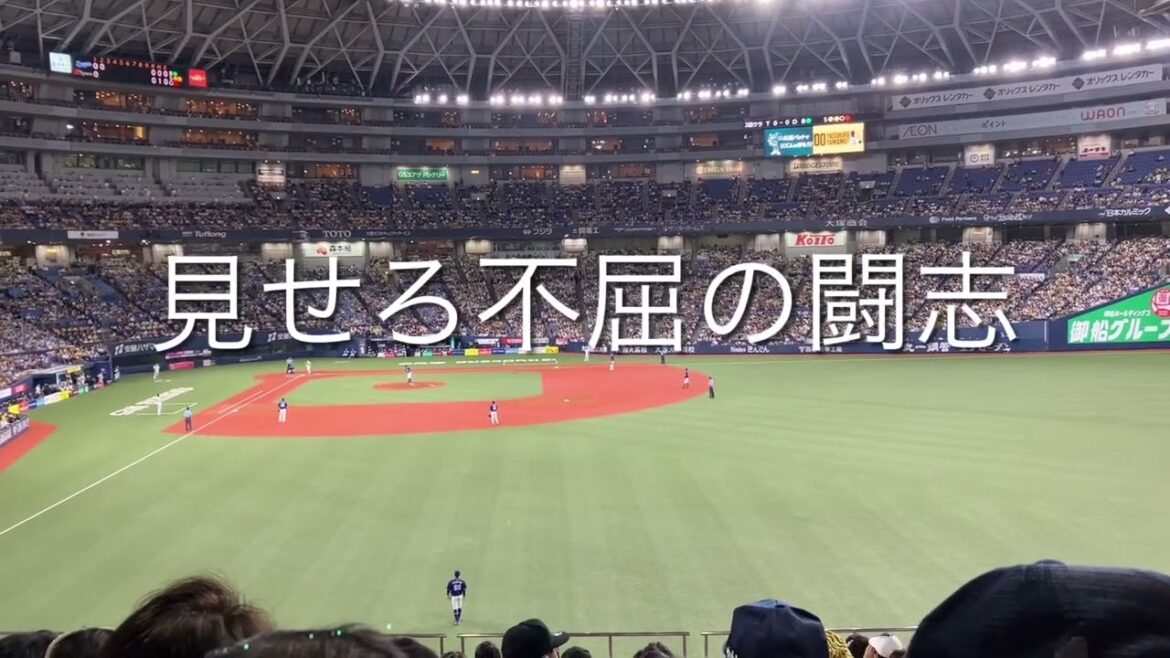 【2022新応援歌】2022/8/13  阪神　山本泰寛　応援歌