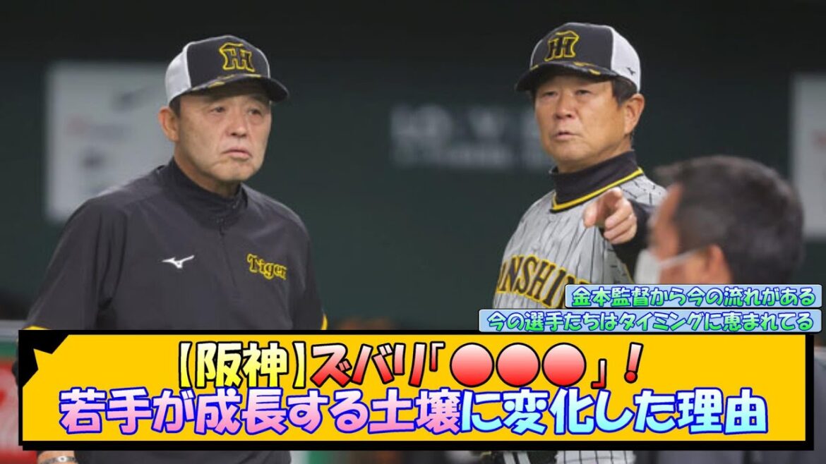 【阪神】ズバリ「○○○」！若手が成長する土壌に変化した理由【なんJ 反応 まとめ】