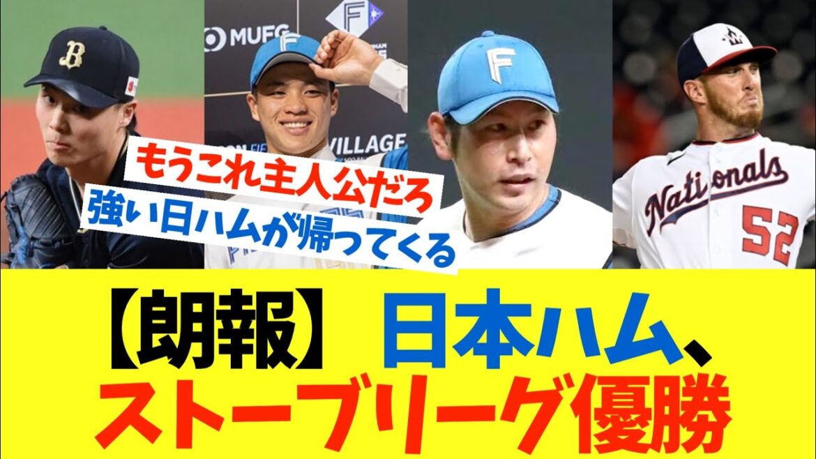 【朗報】日本ハム、ストーブリーグ優勝【なんJ プロ野球 日ハム 反応 まとめ 2ch 5ch 1分動画】