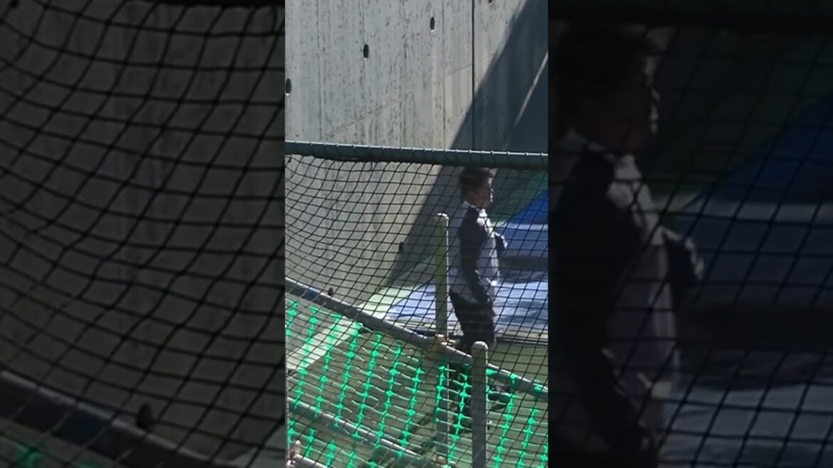 ジャイアンツ合同自主トレ 育成 戸田懐生 壁当てをす？〜読売ジャイアンツ合同練習 2024年1月14日