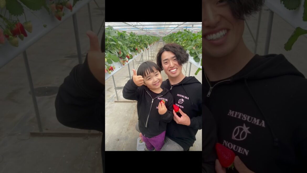 理想と現実の差