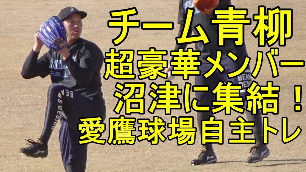 チーム青柳、超豪華メンバーが沼津に集結！愛鷹球場自主トレ2024.1.15