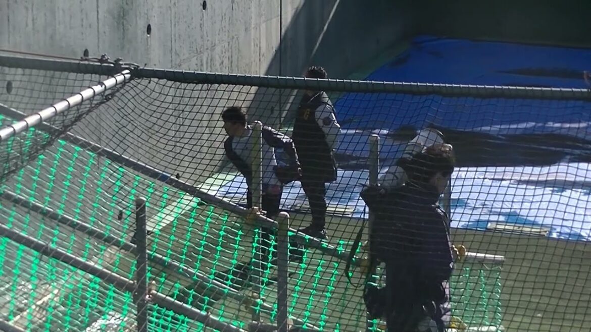 ジャイアンツ合同自主トレ 育成 戸田懐生 合同練習前の様子と通りすぎるルーキーたち〜読売ジャイアンツ合同練習 2024年1月14日