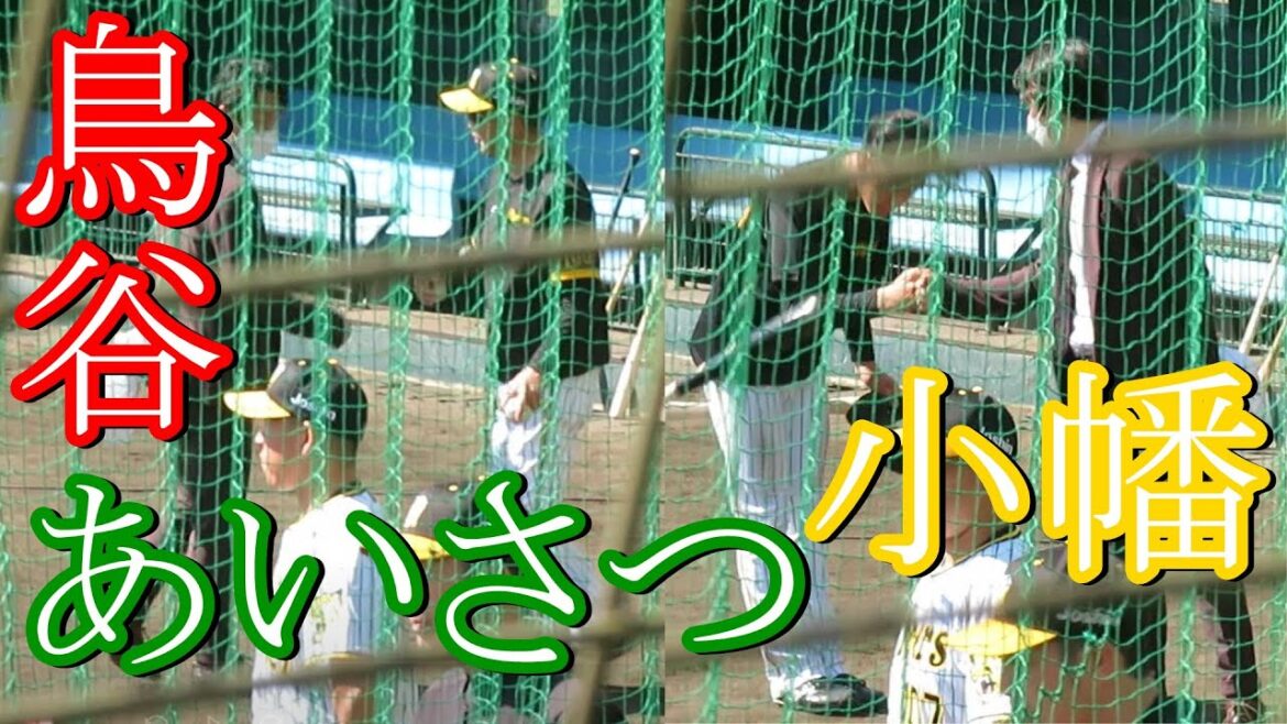 正遊撃手を狙う小幡竜平が大先輩･鳥谷にあいさつ 2023-2-1 沖縄宜野座キャンプ