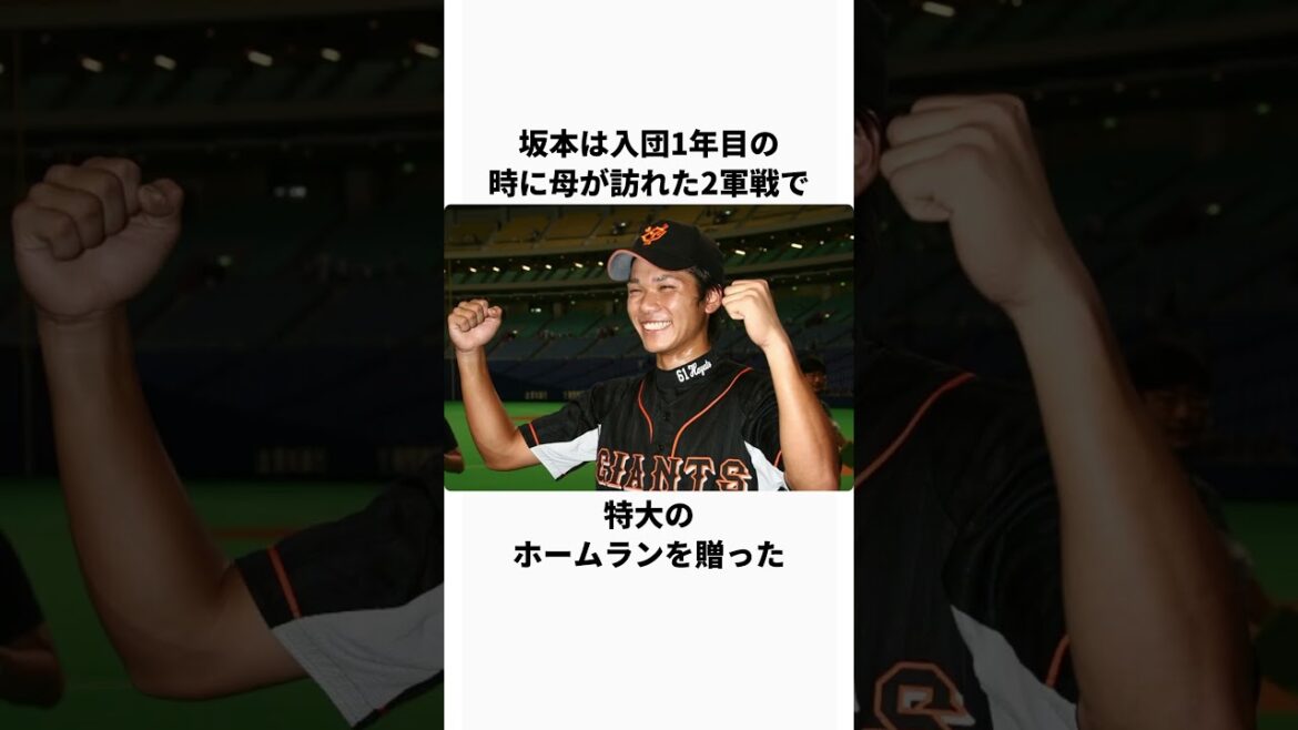 「坂本勇人」に関するエピソード #プロ野球 #野球 #野球解説 #坂本勇人