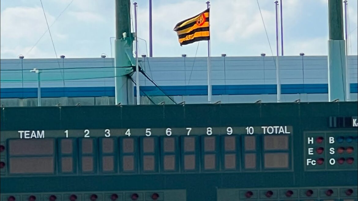 【新人選手のノックが熱い 】阪神 #石井大智 投手も✨ 52 #山田脩也 選手 ✨56 #百﨑蒼生 選手 ✨126 #福島圭音 選手 合同自主トレ公開 #阪神鳴尾浜球場 【新人選手のノックが熱い 】阪神 #石井大智 投手も✨ 52 #山田脩也 選手 ✨56 #百﨑蒼生 選手 ✨126 #福島圭音 選手 合同自主トレ公開 #阪神鳴尾浜球場