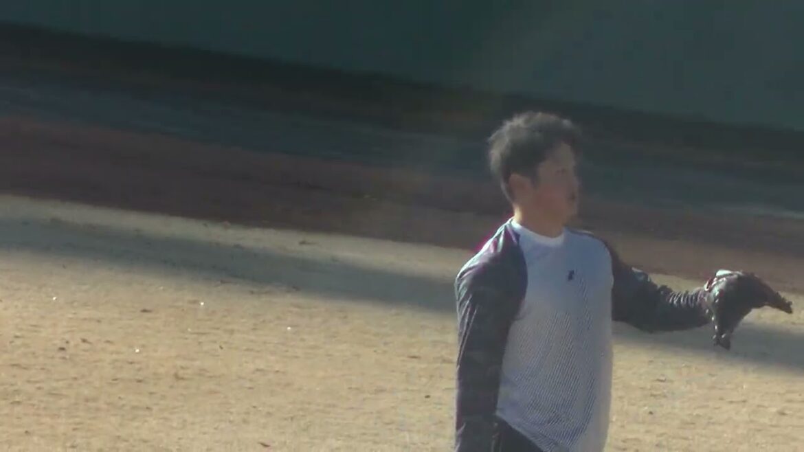 ジャイアンツ戸田 懐生のキャッチボール【育成合同自主トレ2024年1月13日】