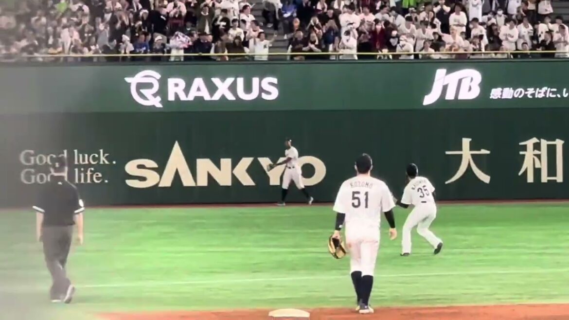 万波中正の日本を救うナイスプレー！