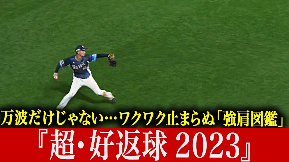 Pacific-League: 【万波だけじゃ】ワクワク止まらぬ“強肩図鑑” 『超・好返球 2023』【ないんです!!】 【万波だけじゃ】ワクワク止まらぬ“強肩図鑑” 『超・好返球 2023』【ないんです!!】