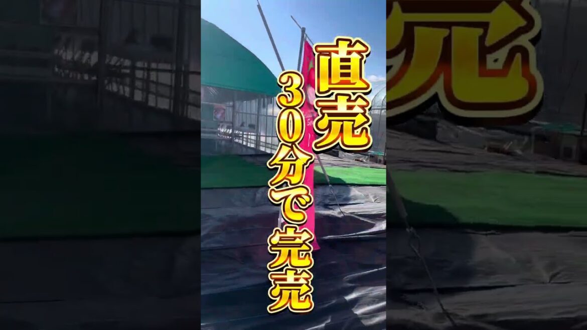 三ツ間農園オープン