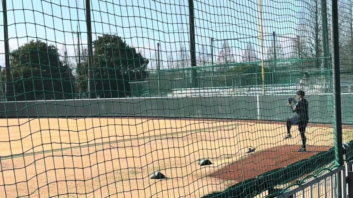 スワローズ星知弥が勢いある球をブルペンで投げ込む【ヤクルトスワローズ自主トレ2024年1月23日】