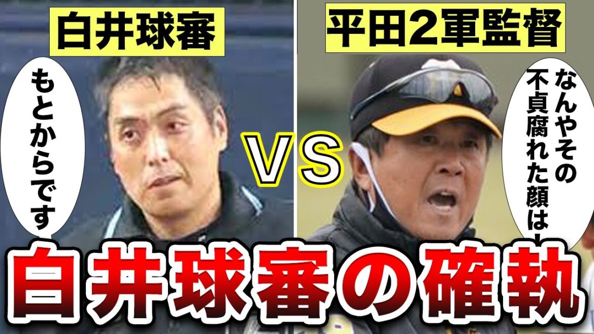 『球審の白井です』が嫌われてしまったのにはワケがあった。