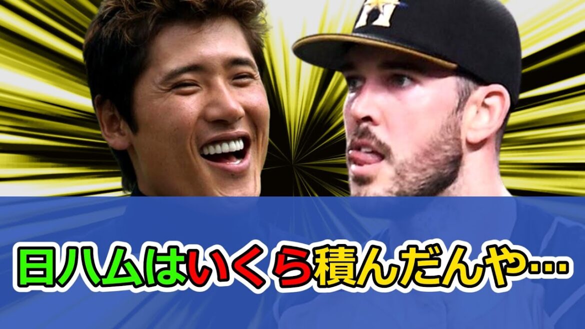 日本ハムはバーヘイゲンよく取ってこれたな …