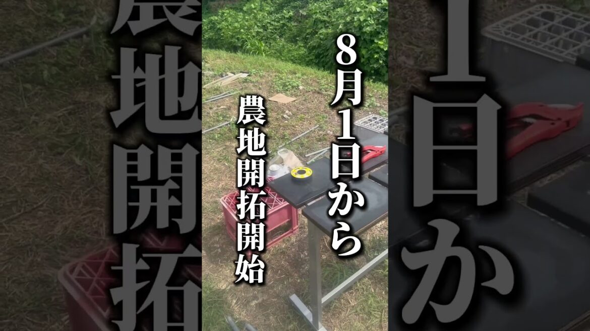 農園開拓と同時に失われる家族時間