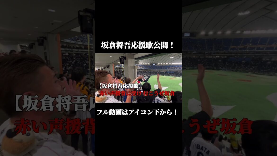 【侍ジャパン】広島東洋カープ・坂倉将吾応援歌#広島カープ #広島東洋カープ #侍ジャパン #野球#応援歌#チャンネル登録お願いします #詳細は概要欄にて
