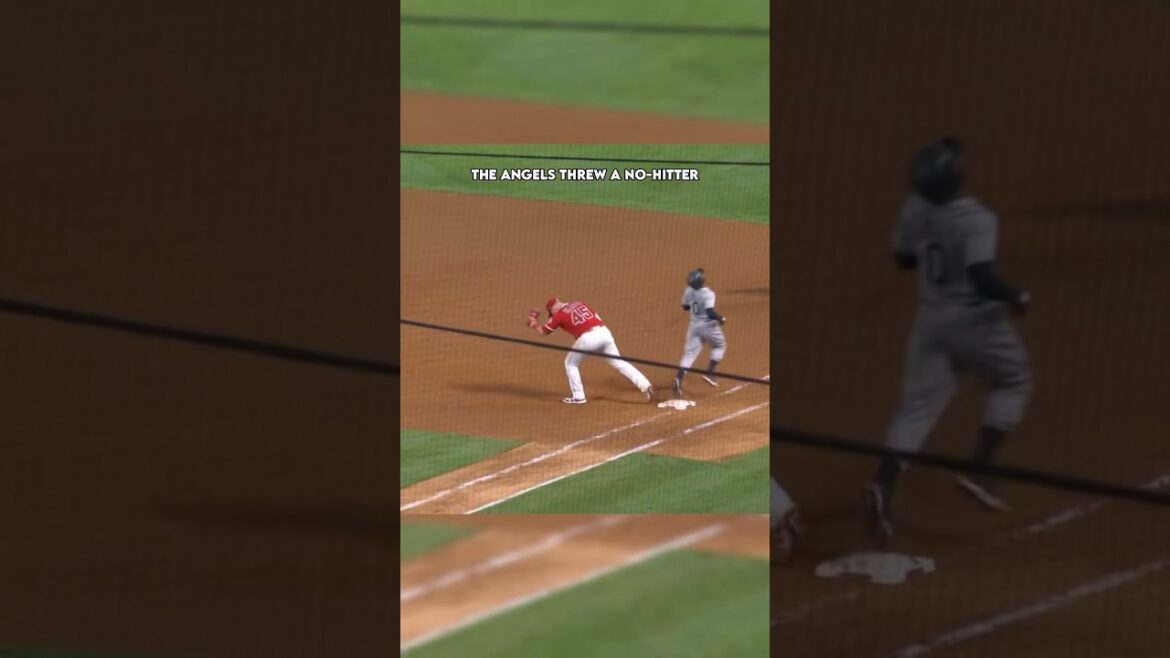 Bigger Than Baseball ⚾️❤️ #shorts