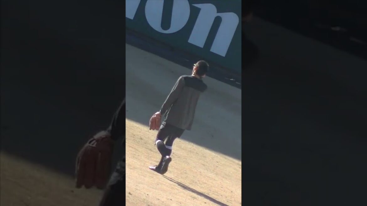 ジャイアンツ新戦力 舟越秀虎 外野でノック（ジャイアンツ球場2024年1月29日） mp4