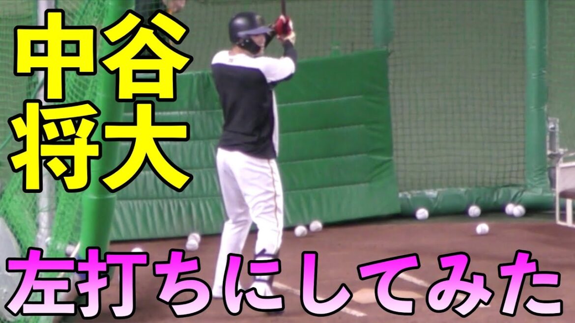 阪神タイガース中谷将大 左打ちにしてみたらwww 阪神タイガース中谷将大 左打ちにしてみたらwww