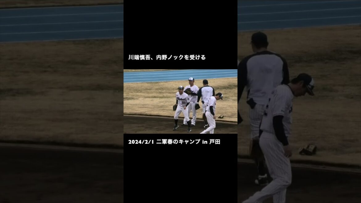 川端慎吾、内野ノックを受ける #東京ヤクルトスワローズ #プロ野球