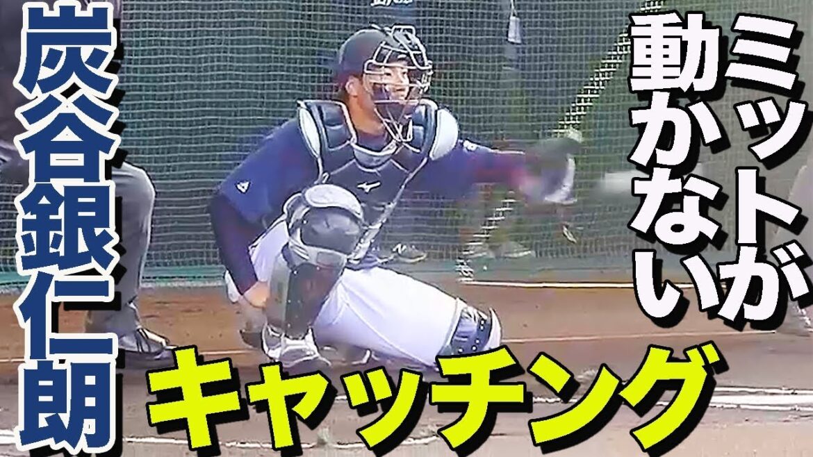 谷繁氏が絶賛する 炭谷銀仁朗 ミットを動かさないキャッチング
