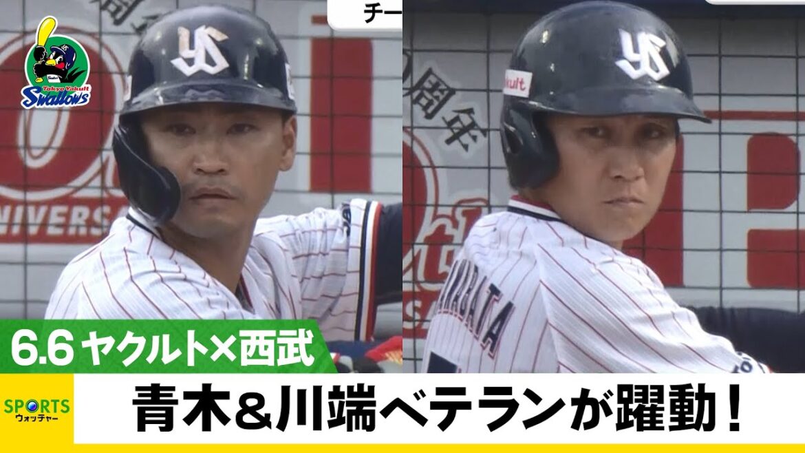 【ヤクルト】青木＆川端 チーム背負うベテランが躍動！＜ヤクルト 対 西武＞
